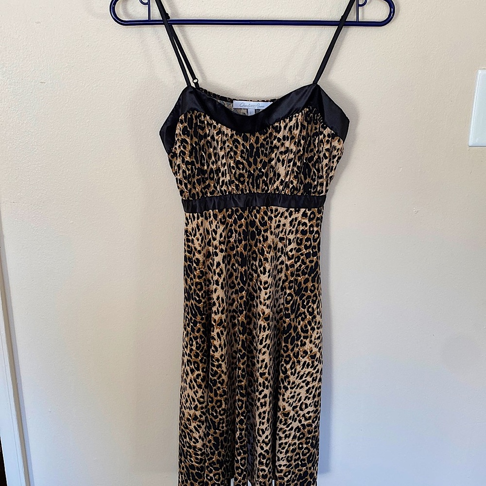 Leopard Print Dress